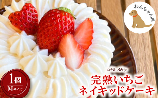 【2026年発送】愛犬用 完熟いちごネイキッドケーキ Mサイズ 1個【配送不可地域：離島】【1591177】
