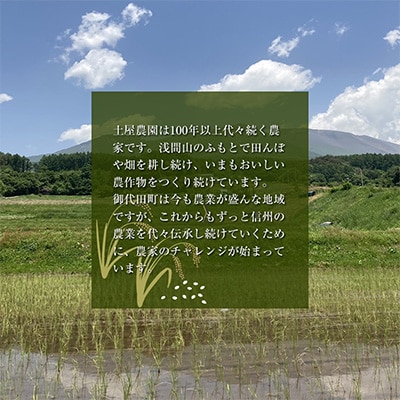 国産 菓子くるみ 殻付 1.5kg 信州 長野県 地元農家から自然の恵みをお届け【1103738】