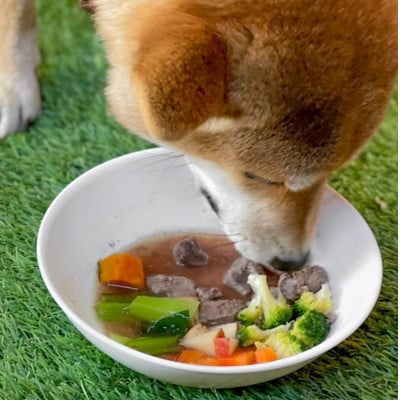 軽井沢鹿工房　愛犬用鹿肉　手作り食応援セット【配送不可地域：離島】【1522014】