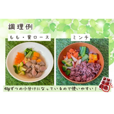 軽井沢鹿工房　愛犬用　生肉セット【ミンチ240g×2袋、もも240g×2袋、背ロース240g×2袋】【配送不可地域：離島】【1346093】