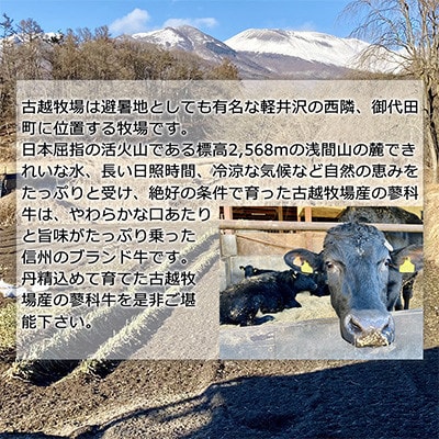 【信州御代田 古越牧場産】蓼科牛【厳選部位】ロースステーキ 800g(400g×2枚)【配送不可地域：離島】【1691171】