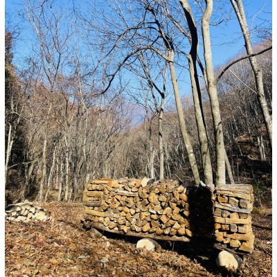 ææ¥èžè¡ç€Ÿ 也ç¥èª(åºèæš¹çŽ45cm /çŽ50kgå/äžå²ãã)ãè€æ°åå£ã§é
éãã4081578ã