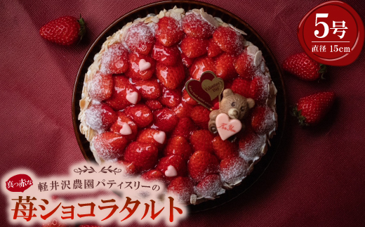 真っ赤な苺ショコラタルト5号サイズ【配送不可地域：離島・北海道・沖縄県】【1615746】