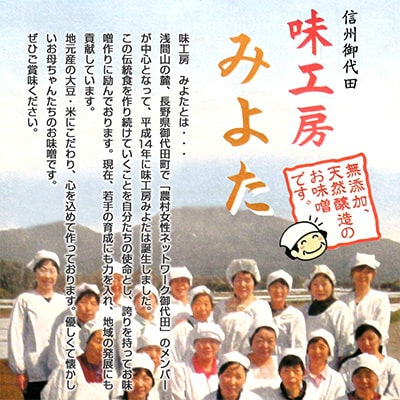 味工房「みよた」味噌　4品詰セット【配送不可地域：離島】【1042843】