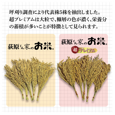 令和7年産　荻原くん家のお米 超プレミアム(白米)　5kg　【1620835】
