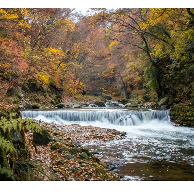 長野県御代田町宿泊等利用助成券(3,000円分)【1232264】