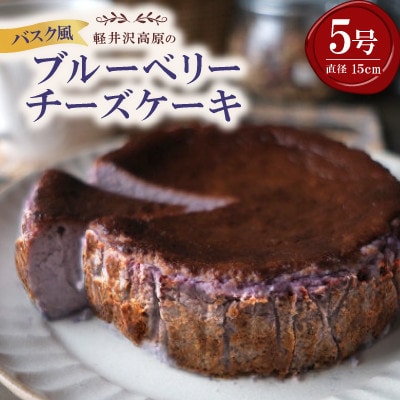 【毎月定期便】軽井沢の農園パティスリー 人気ブルーベリータルト・チーズケーキの3点セット全3回【配送不可地域：離島】【4080208】