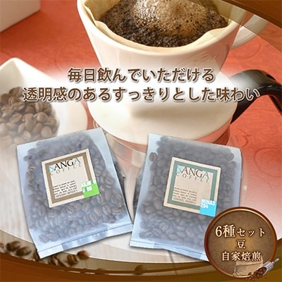 サンガコーヒー〈豆〉100g×6種【1070089】