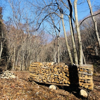 林業芸術社　2年乾燥薪(広葉樹約22cm /約5kg分/中割り〜)御代田町面替【1702678】