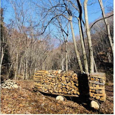 林業芸術社　2年乾燥薪(広葉樹約45cm /約5kg分/中割り〜)御代田町面替【1702571】