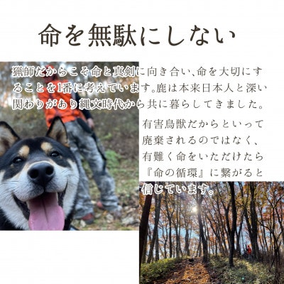 軽井沢鹿工房「愛犬用鹿ドライトライプ」20g×4パック【1524234】