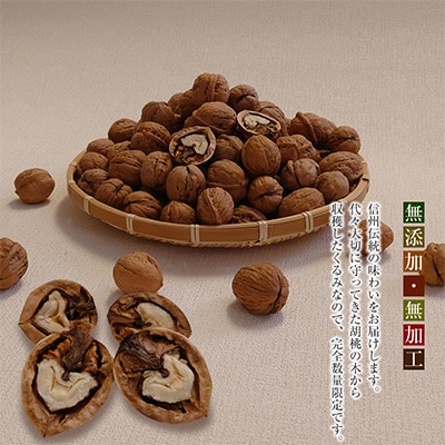 国産 菓子くるみ 殻付 1.5kg 信州 長野県 地元農家から自然の恵みをお届け【1103738】