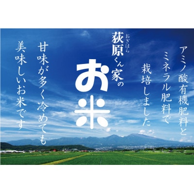 【毎月定期便】荻原くん家のお米　10kg(5kg×2)　白米全3回【4079750】