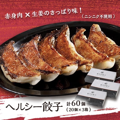 ヘルシー餃子セット60個(20個×3箱)【配送不可地域：離島】【1468732】