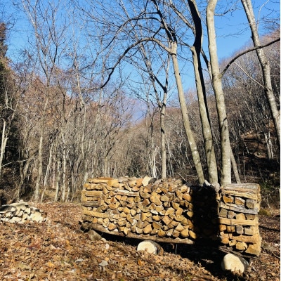 林業芸術社　2年乾燥薪(広葉樹約22cm /約10Kg分/中割り〜)御代田町面替【1702680】