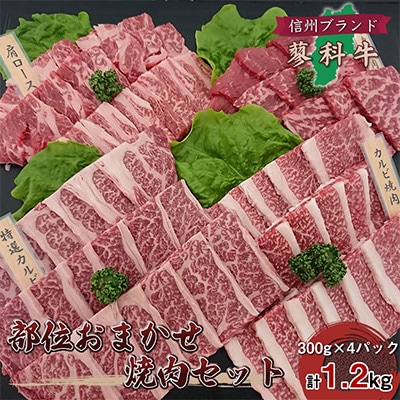 【牛肉おまかせ焼き肉セット】信州蓼科牛の厳選部位を1.2kg(300g×4pc)御代田町古越牧場産【配送不可地域：離島】【1297063】