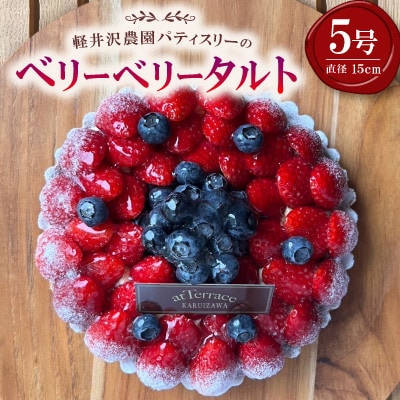 【毎月定期便】軽井沢の農園パティスリー 人気ブルーベリータルト・チーズケーキの3点セット全3回【配送不可地域：離島】【4080208】