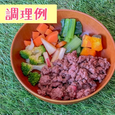 軽井沢鹿工房　愛犬用鹿肉　手作り食応援セット【配送不可地域：離島】【1522014】