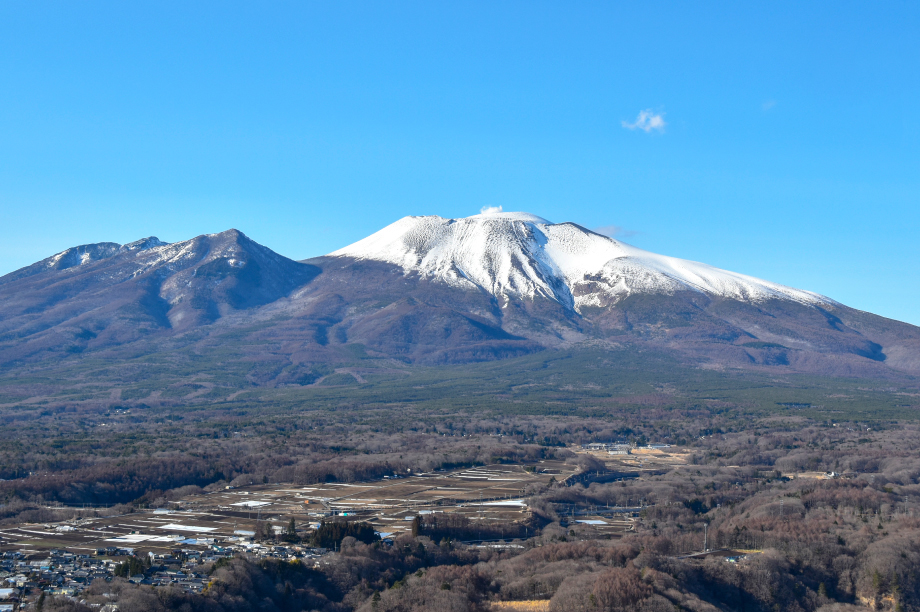 1. まちづくり全て（町長におまかせ）