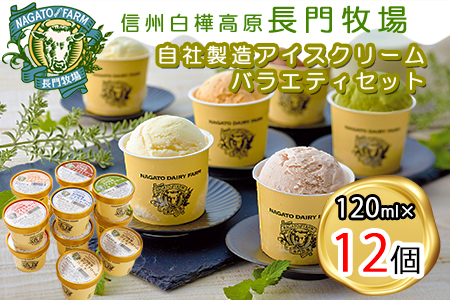 長門牧場　自社製造アイスクリーム　贅沢バラエティセット12個　人気スイーツ　濃厚ミルク　直送　牛乳　生乳　国産　夏ギフト　長野県　贈答品　お土産　お中元　お歳暮　クリスマス