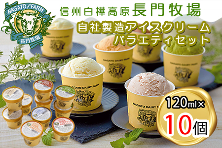 長門牧場　自社製造アイスクリーム　贅沢バラエティセット10個　人気スイーツ　濃厚ミルク　直送　牛乳　生乳　国産　夏ギフト　長野県　贈答品　お土産　お中元　お歳暮　クリスマス