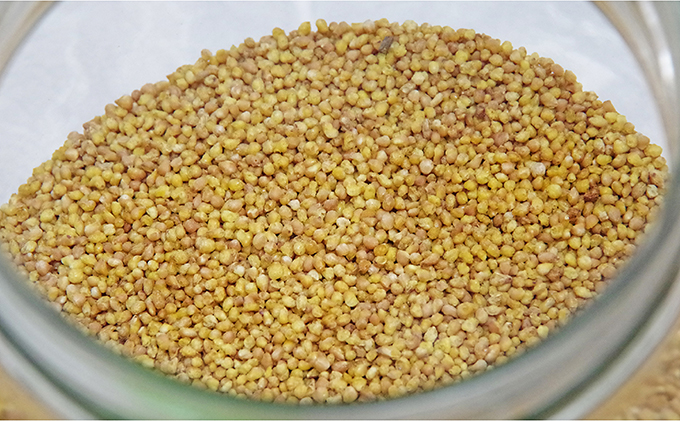 菫。豼髴ァ螻ア繝繝繧ソ繝ウ縺昴ー繧サ繝繝医A-2 阨朱コヲ 荵セ鮗コ