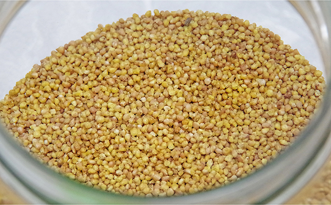 信濃霧山ダッタンそばセット　A-1 蕎麦 乾麺 スイーツ 