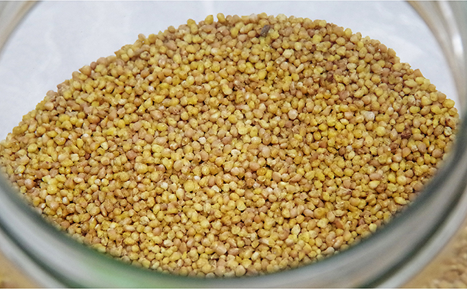 信濃霧山ダッタンそばセット　B-3 蕎麦 乾麺 