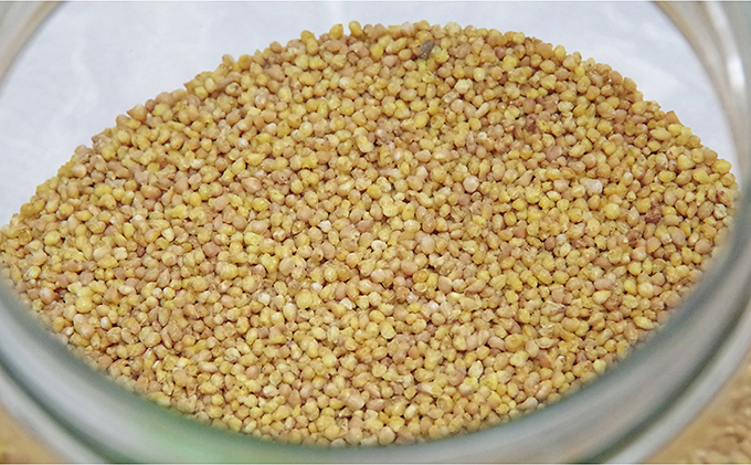 信濃霧山ダッタンそばセット　C-1 蕎麦 