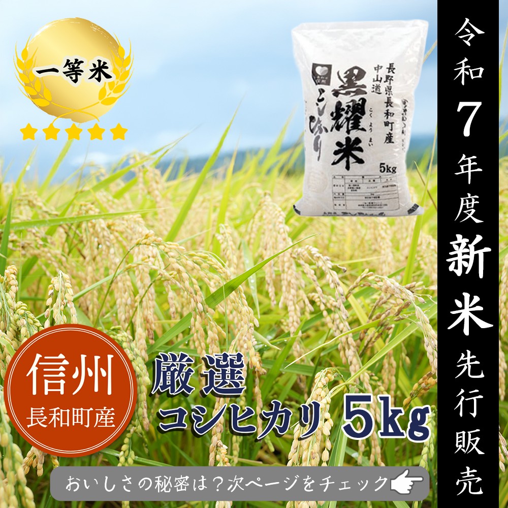 【令和7年度新米】2025年9月10月収穫　コシヒカリ5kg　2025年11月下旬・12月下旬分先行予約　信州長和町産　長野県産　一等米