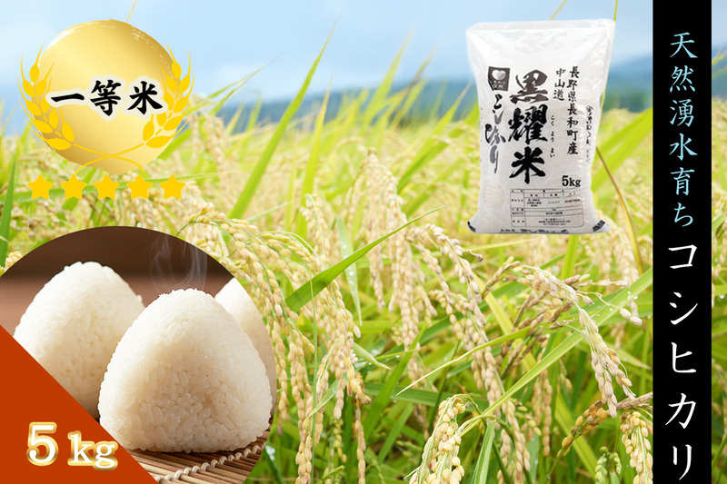 令和7年産 コシヒカリ5キロ(5kg×1袋)　天然の軟水「黒耀水」育ちのお米 長野県長和町産 農家直送 一等米精白米