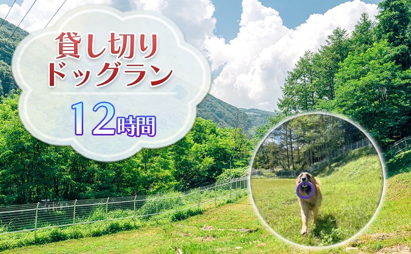 貸切ドッグラン利用券（12時間） チケット ペットとお出かけ お出かけ 犬連れ 愛犬とお出かけ 完全貸切 大型犬 BBQ テント