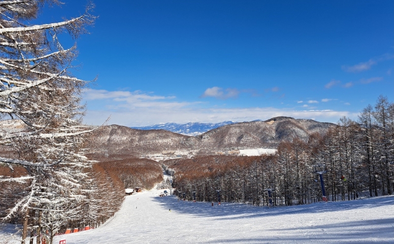 ブランシュたかやまスキーリゾート 小学生用リフト1日優待券 1枚 チケット 全日利用可 雪遊び スキー場 子供用リフト券 
