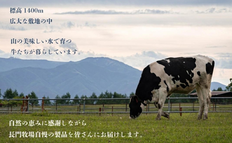 長門牧場　自社製造アイスクリーム　贅沢大サイズセットバニラ2個チョコレート1個　人気スイーツ　濃厚ミルク　直送　牛乳　生乳　国産　夏ギフト　長野県　贈答品　お土産　お中元　お歳暮　クリスマス