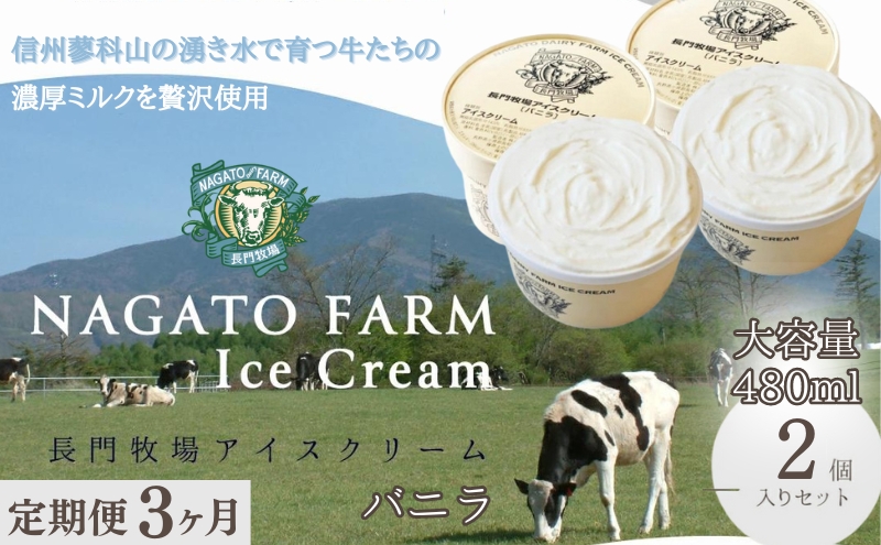 【定期便】3ヵ月連続でお届け！長門牧場アイスクリーム 480ml バニラ2個セット　アイス ギフト スイーツ デザート 人気 おすすめ 高評価 お土産 ご当地 ひんやりスイーツ 