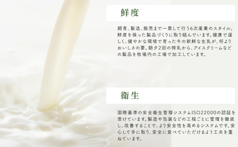 【定期便】3ヵ月連続でお届け！長門牧場アイスクリーム 480ml バニラ2個セット　アイス ギフト スイーツ デザート 人気 おすすめ 高評価 お土産 ご当地 ひんやりスイーツ 