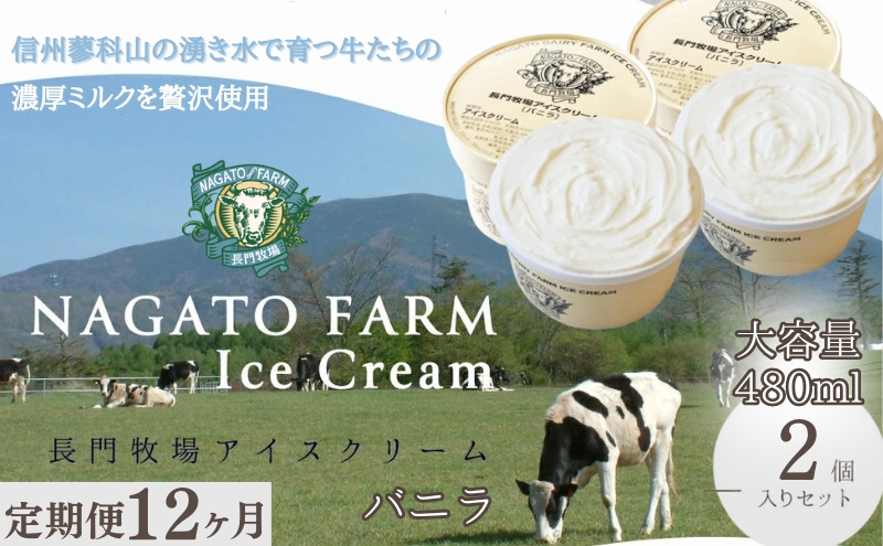 【定期便】12ヵ月連続でお届け！長門牧場アイスクリーム 480ml バニラ2個セット　ギフト スイーツ デザート 人気 おすすめ 高評価 お土産 ご当地 ひんやりスイーツ