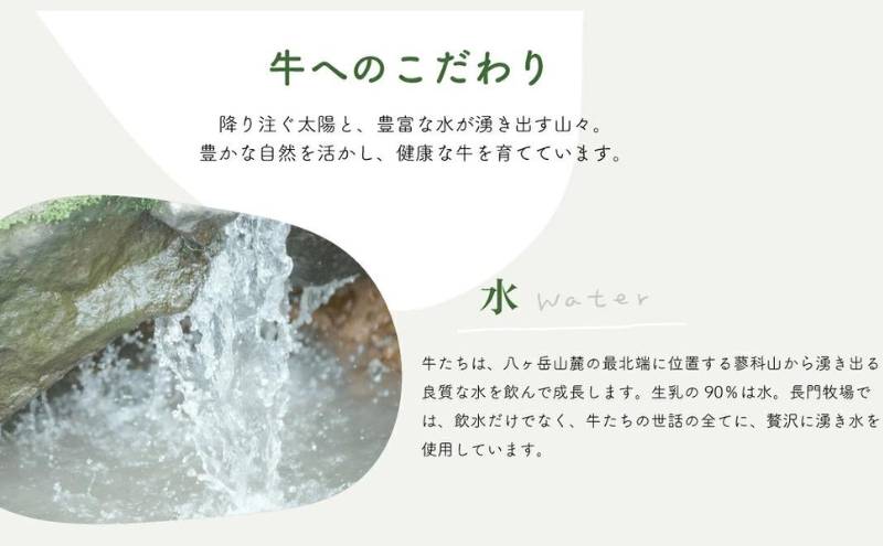 【定期便】12ヵ月連続でお届け！長門牧場アイスクリーム贅沢480mlバニラ2個　人気スイーツ　濃厚ミルク　直送　牛乳　生乳　国産　夏ギフト　長野県　贈答品　お土産　お中元　お歳暮　クリスマス