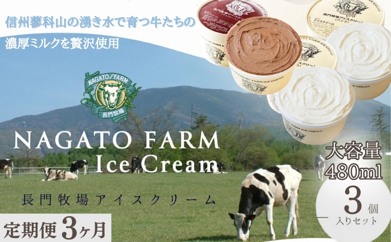 【定期便】3ヵ月連続でお届け！長門牧場アイスクリーム 480ml 3個セット バニラ チョコレート アイス ギフト スイーツ デザート 人気 おすすめ 高評価 お土産 ご当地 ひんやりスイーツ