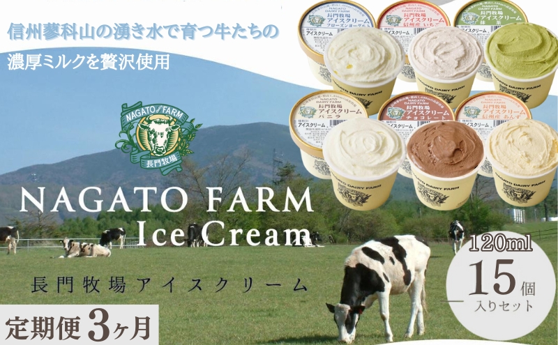 【定期便】3ヵ月連続でお届け！長門牧場アイスクリーム 15個セット バニラ チョコレート アイス ギフト スイーツ デザート 人気 おすすめ 高評価 お土産 ご当地 ひんやりスイーツ