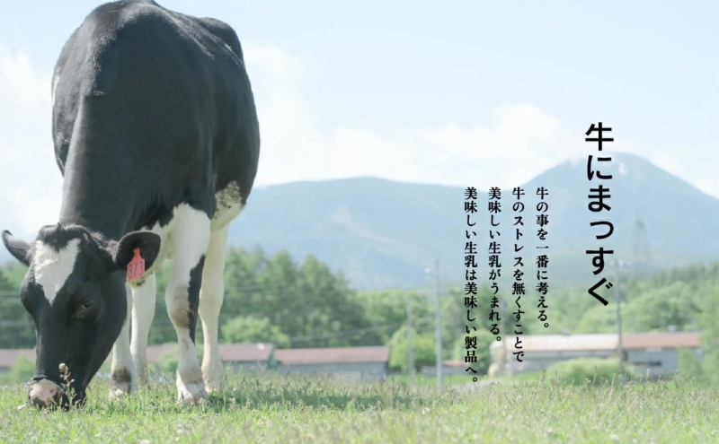 【定期便】12ヵ月連続でお届け！長門牧場アイスクリーム15個セット 6種のフレーバー詰め合わせ (バニラ、チョコレート、抹茶、ヨーグルト、いちご、あんず) スイーツ 濃厚ミルク 直送 牛乳 生乳 国産 ギフト 長野県 贈答品 お土産 お中元 お歳暮 クリスマス