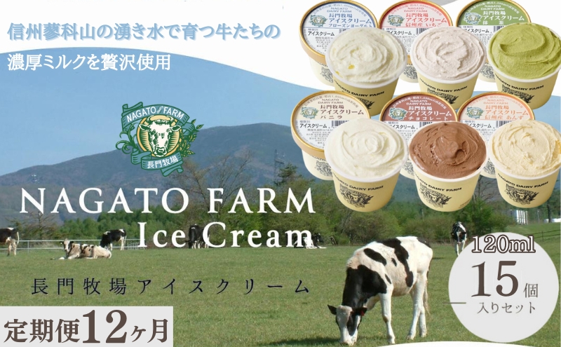 【定期便】12ヵ月連続でお届け！長門牧場アイスクリーム 15個セット バニラ チョコレート アイス ギフト スイーツ デザート 人気 おすすめ 高評価 お土産 ご当地 ひんやりスイーツ