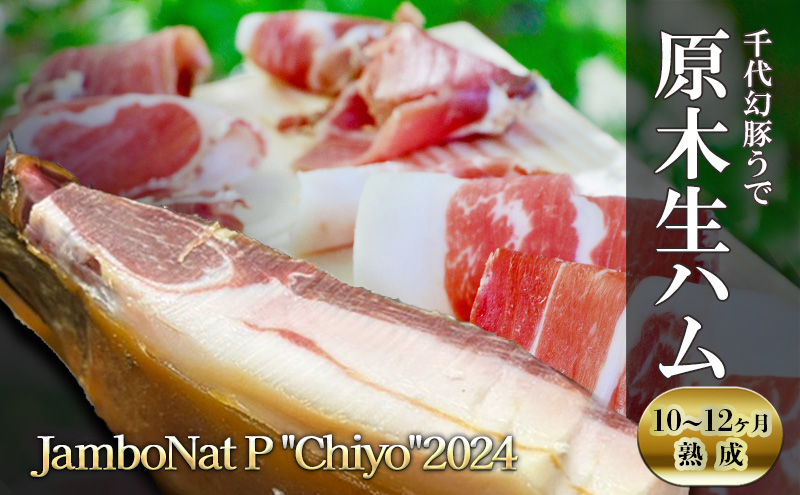 JamboNat P "Chiyo"2024(千代幻豚うで原木生ハム10-12ヶ月熟成）