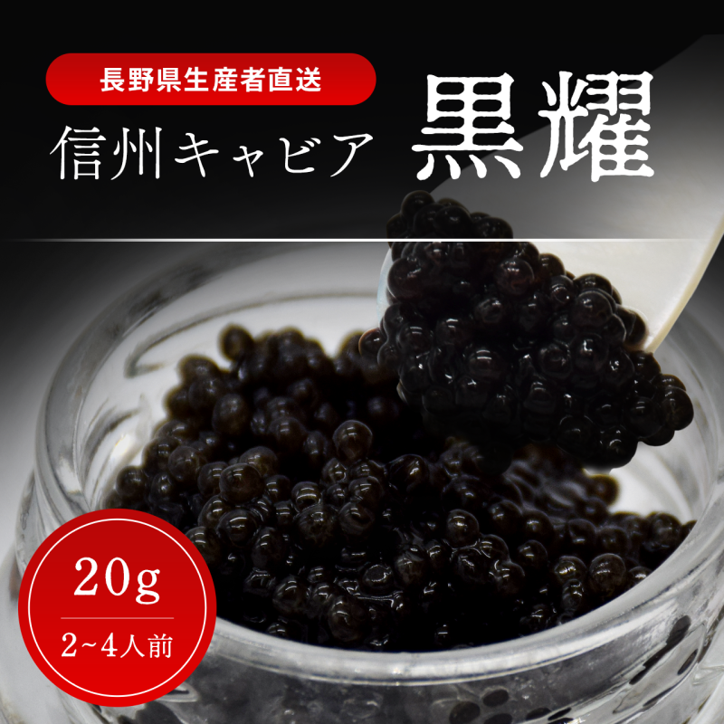 黒耀 信州キャビア 20g 黒耀 信州キャビア20g 入瓶 キャビアスプーン付 化粧箱入り 長野県製造 冷凍生キャビア キャビア 生キャビア 生 スプーン付き 信州 長野県