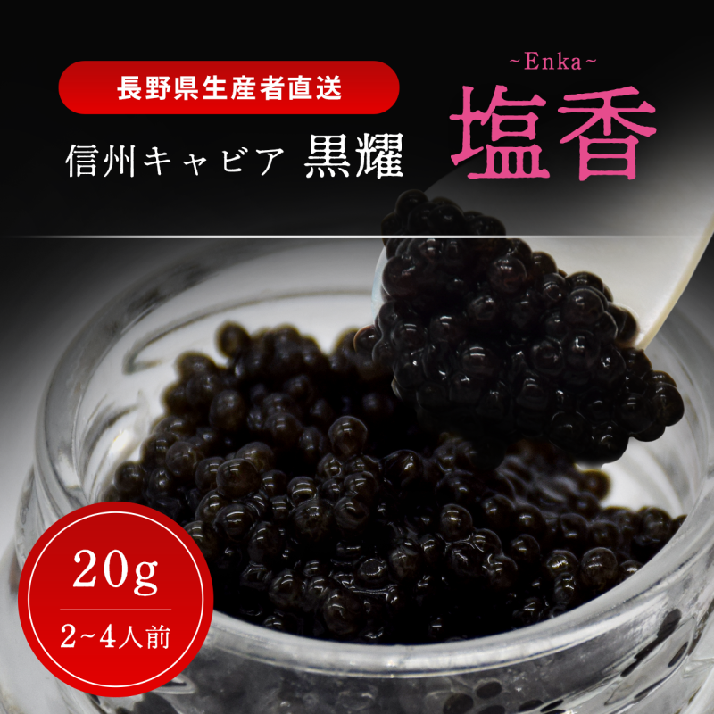 黒耀 信州キャビア 塩香 -Enka- 20g 黒耀 信州キャビア 塩香20g 入瓶 キャビアスプーン付 化粧箱入り 長野県製造 冷凍生キャビア キャビア 生キャビア 生 スプーン付き 信州 長野県