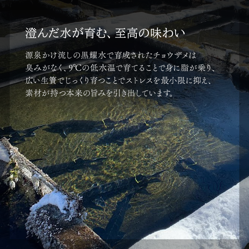 é»è ä¿¡å·ãã£ãã¢ å¡©éŠ -Enka- 20g é»è ä¿¡å·ãã£ã㢠塩éŠ20g å
¥ç¶ ãã£ãã¢ã¹ããŒã³ä» åç²§ç®±å
¥ã é·éç補é å·åçãã£ã㢠ãã£ã㢠çãã£ã㢠ç ã¹ããŒã³ä»ã ä¿¡å· é·éç