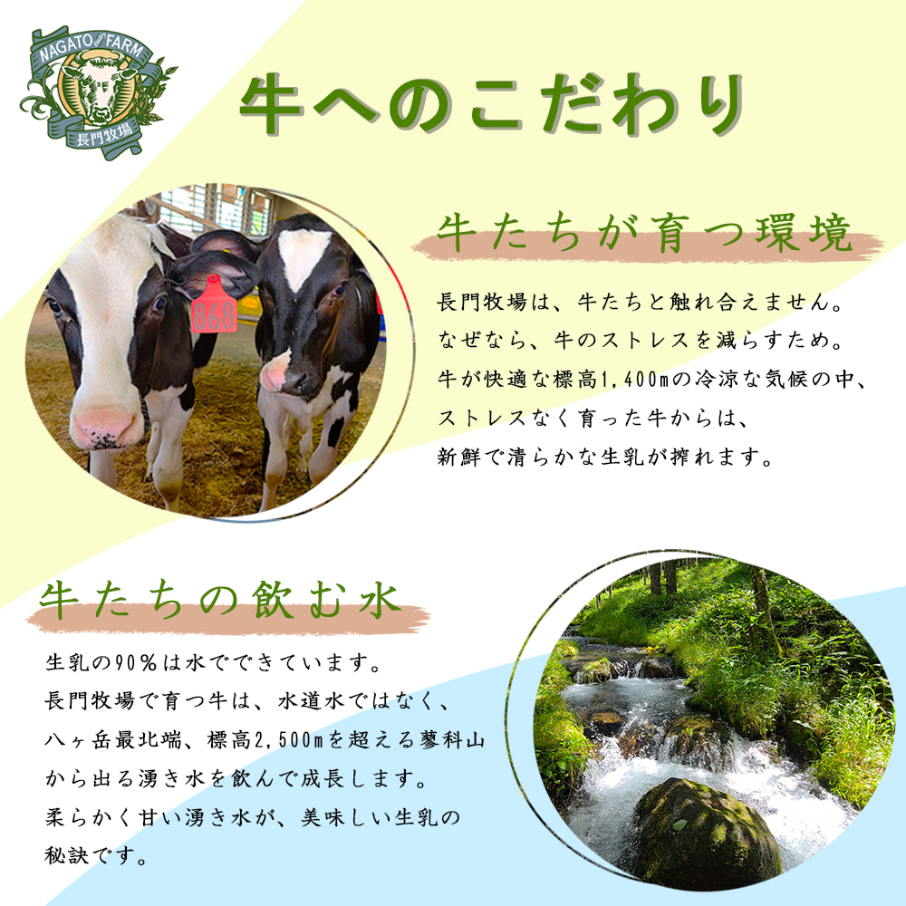 長門牧場　自社製造ナチュラルチーズバラエティセット　クリスマススイーツギフト　長野県お歳暮　信州味噌