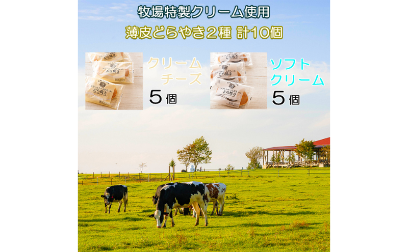 長門牧場薄皮どらやき２種セットD-5　ソフトクリーム、クリームチーズ　人気スイーツ　濃厚ミルク　直送　牛乳　生乳　国産　夏ギフト　長野県　贈答品　お土産　お中元　お歳暮　クリスマス