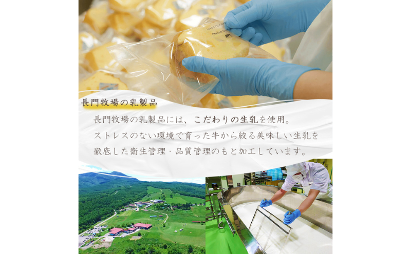 長門牧場ソフトクリームなロールケーキ＆アイスクリームセットD-3　人気スイーツ　濃厚ミルク　直送　牛乳　生乳　国産　夏ギフト　長野県　贈答品　お土産　お中元　お歳暮　クリスマス