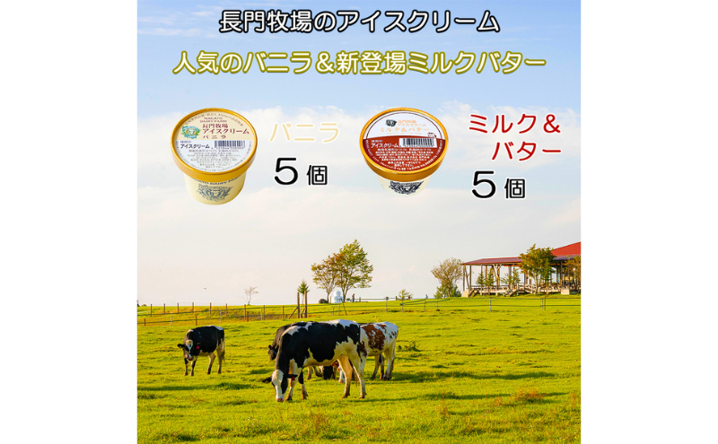 長門牧場アイスクリーム10個プレミアムセットCA-1　白い食べ比べセット（プレミアムフレーバー「ミルク＆バター」、バニラ各5個）　人気スイーツ　濃厚ミルク　直送　牛乳　生乳　国産　夏ギフト　長野県　贈答品　お土産　お中元　お歳暮　クリスマス